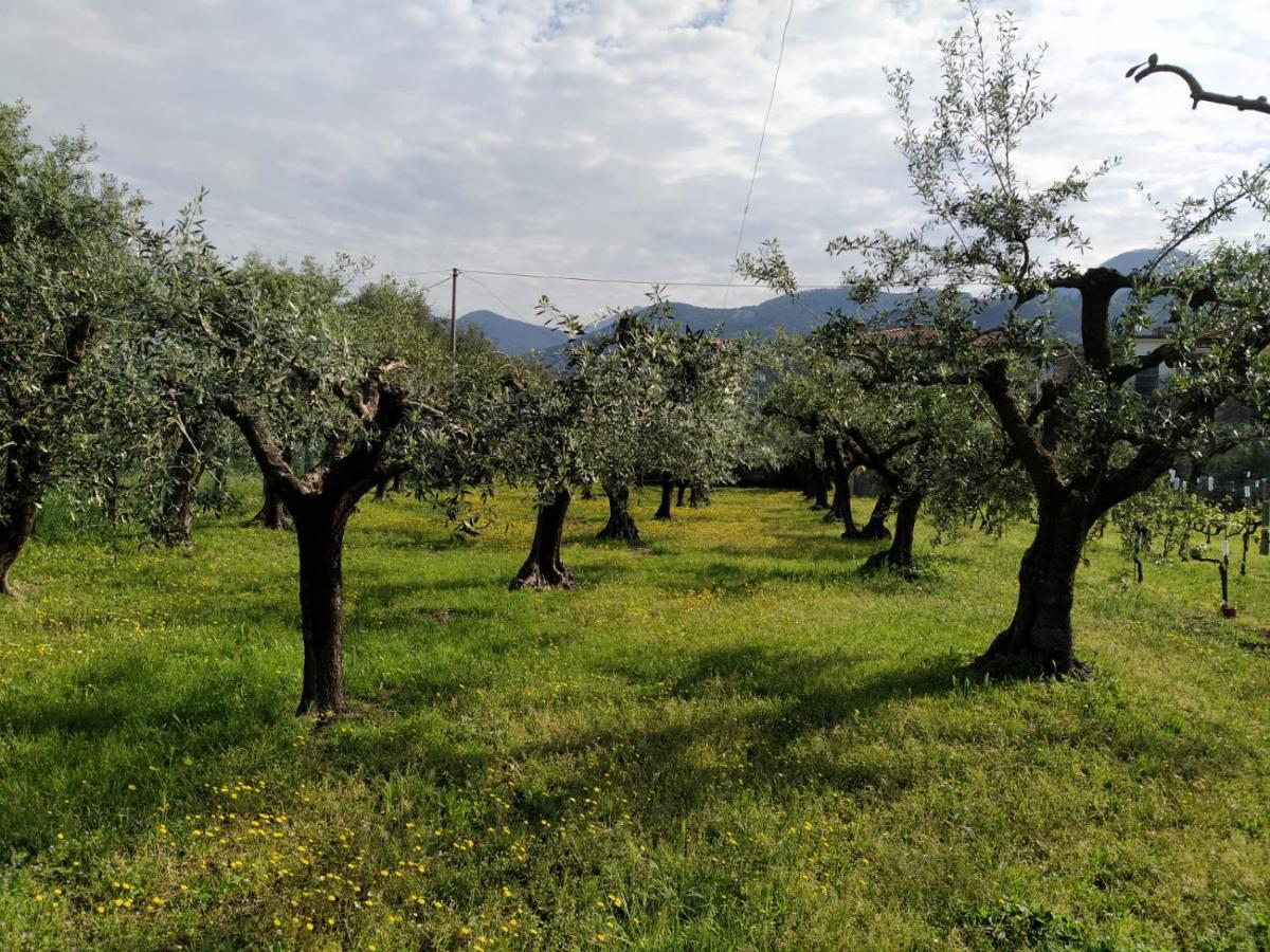 Agriturismo La Vite Maritata Пьетразанта Экстерьер фото